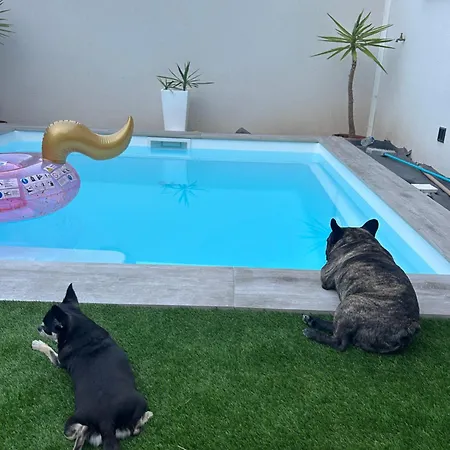 Pansiyon Belle Dans Neuve Avec Piscine *